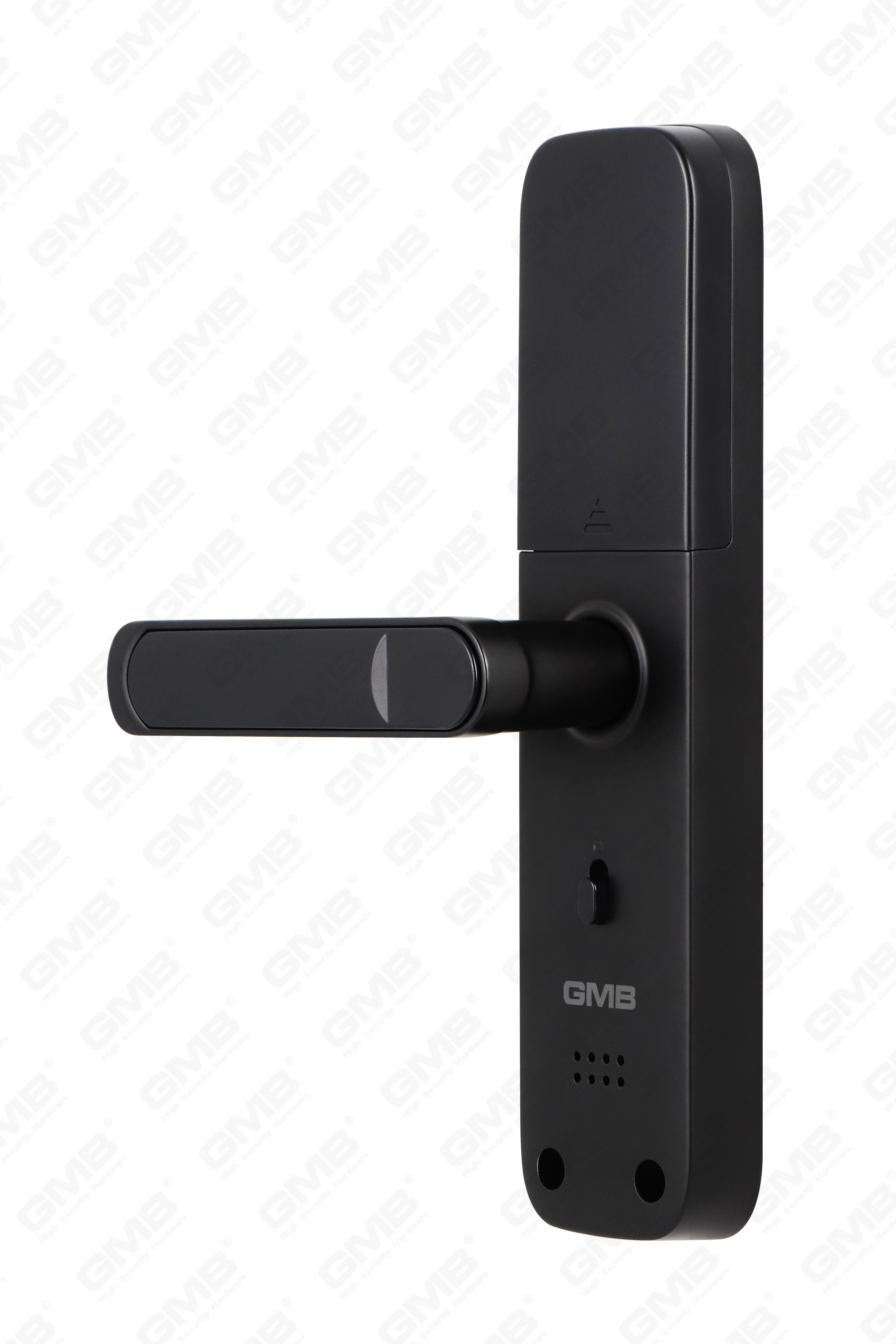 High Security Fingerprint/RFID Card/WiFi/Tuya/Tt APP Digital Smart Door Lock (638)