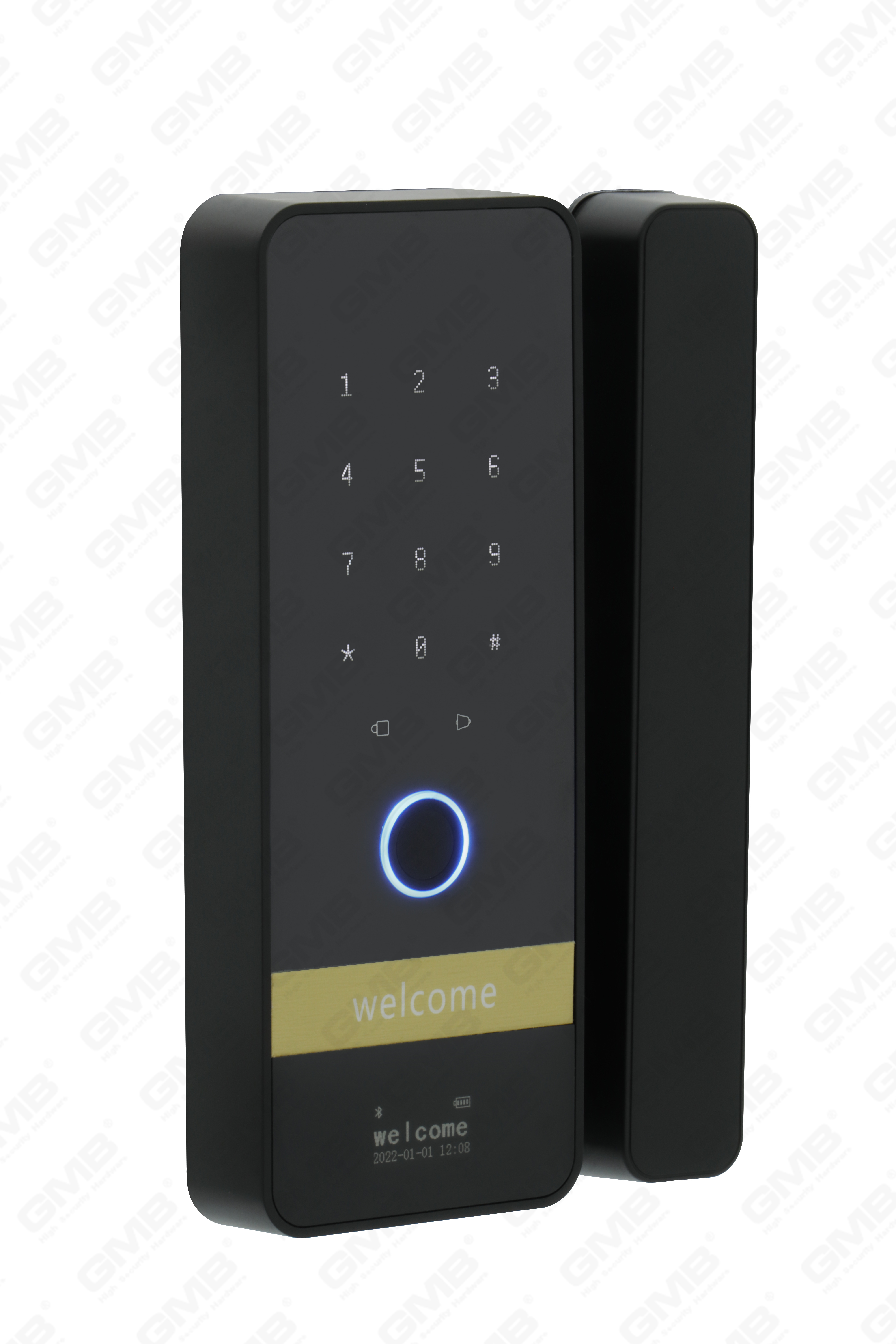High Security Fingerprint/RFID Card/WiFi/Tuya/TT APP Digital Smart Glass Door Lock (255)