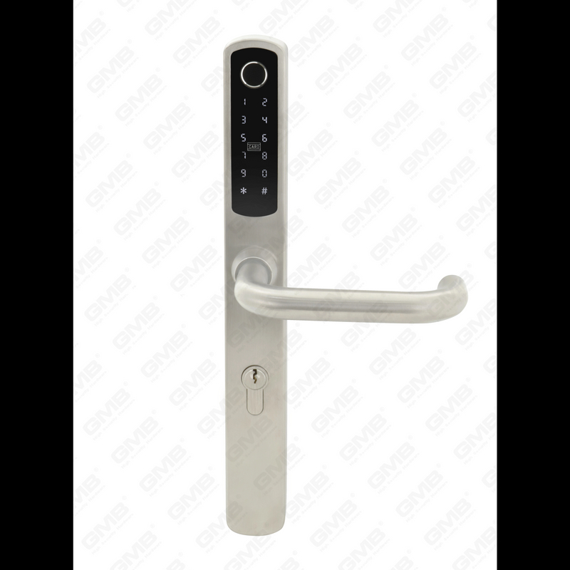 European Standard Waterproof Keyless Entry Tt Wireless Digital Password Fingerprint Mf Card Smart Door Lock (U018)