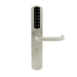 European Standard Waterproof Keyless Entry Tt Wireless Digital Password Mf Card Smart Door Lock (U020)