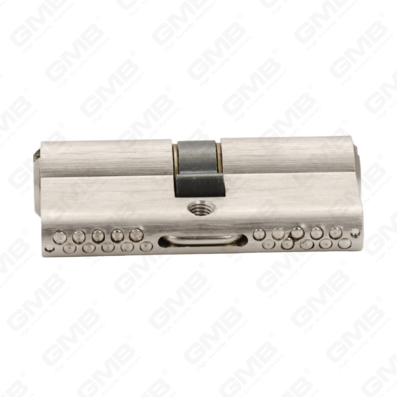 En1303 High Security Euro Profile Brass Door Lock Cylinder Snake Keyway (G170 PRO 64)