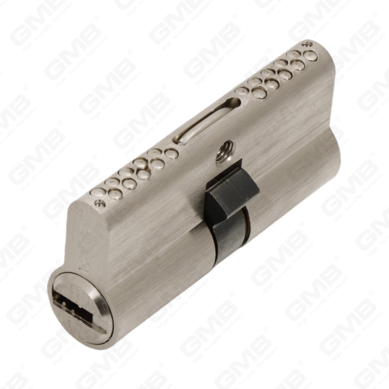 En1303 High Security Euro Profile Brass Door Lock Cylinder Snake Keyway (G170 PRO 64)