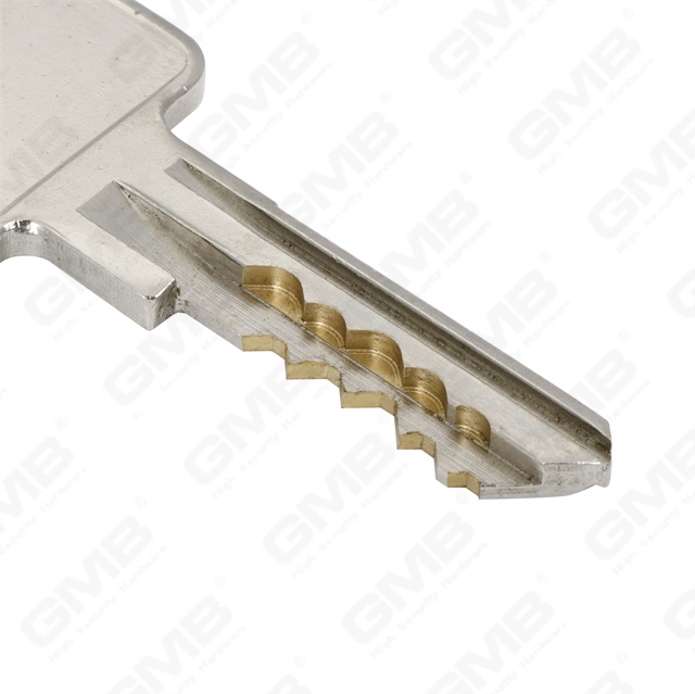 En1303 High Security Euro Profile Brass Door Lock Cylinder with F Keyway (GMB-CY-24)