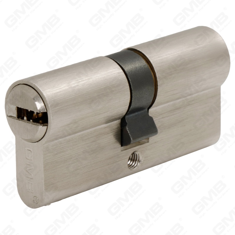 En1303 High Security Euro Profile Brass Door Lock Cylinder Snake Keyway (G170 PRO 64)
